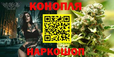 стафф Обь
