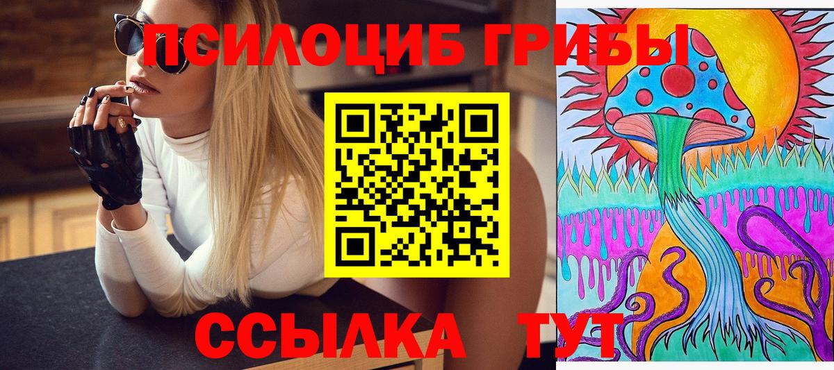 Псилоцибиновые грибы прущие грибы Сегежа