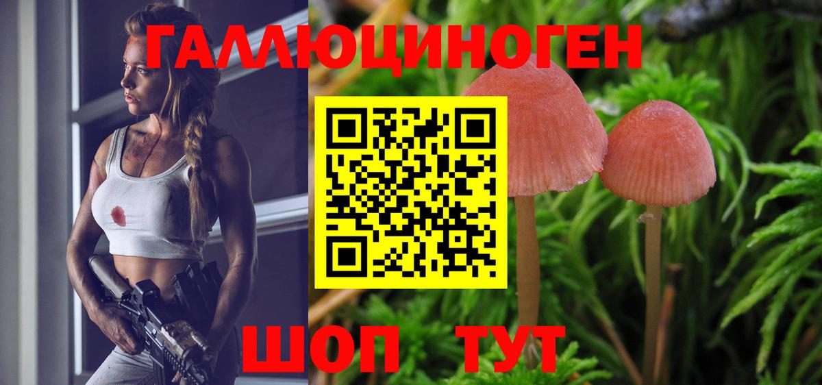 Сегежа  Псилоцибиновые грибы GOLDEN TEACHER  Вход с VPN  Галлюциногенные грибы мицелий 